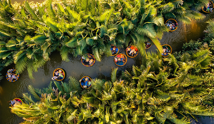 Bay Mau Coconut Forest